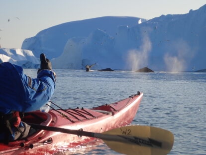 Kayak Among Icebergs, optional extension for the Icefjord Midnight Marathon