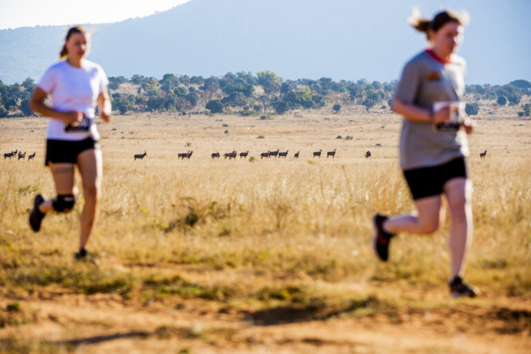 Photo of runners passing through fields at the Big Five Marathon 2025
