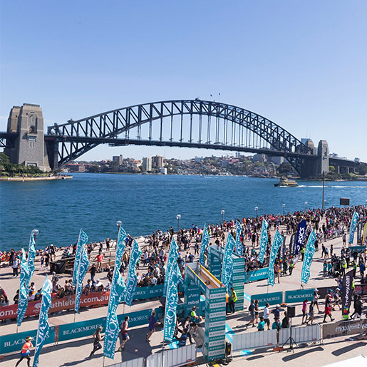 Sydney Marathon 2024 Sign Up Marathon Tours UK