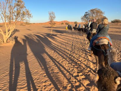 Group camel ride on the 4 Day Marrakech to Merzouga Desert Tour, with Camel Ride and Desert Camp Stay, extension option for the Marrakech Marathon 2025