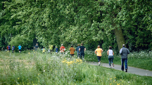 Amsterdamse Bos parkrun