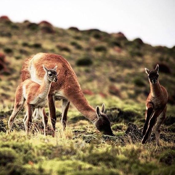 14 beautiful photographs that will convince you to visit Chile