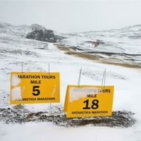 2014 Antarctica Half-Marathon Results
