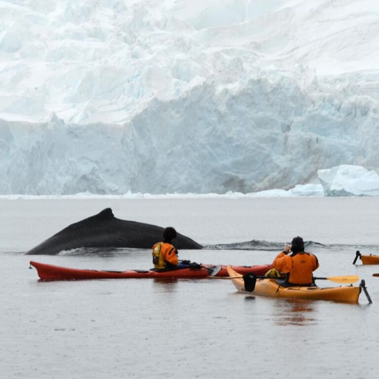 A marathon in Antarctica, truly a one-of-a-kind vacation